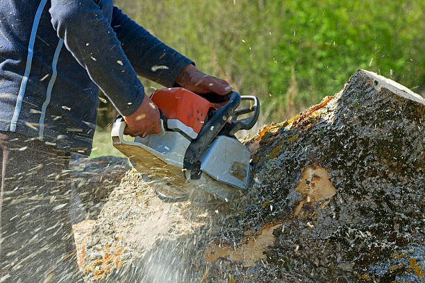 Best Lawn Mowing  in Valle Vista, CA