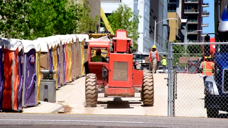 Best Root Management and Removal  in Valle Vista, CA